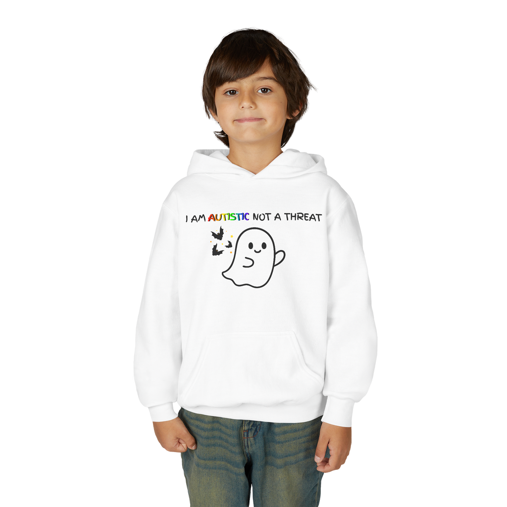 I Am Not A Threat - Youth Hoodie